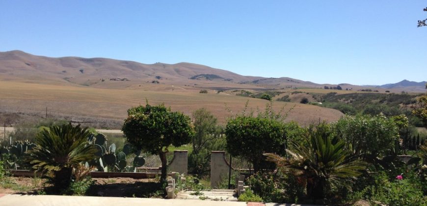 Agricultural land with two properties to grow