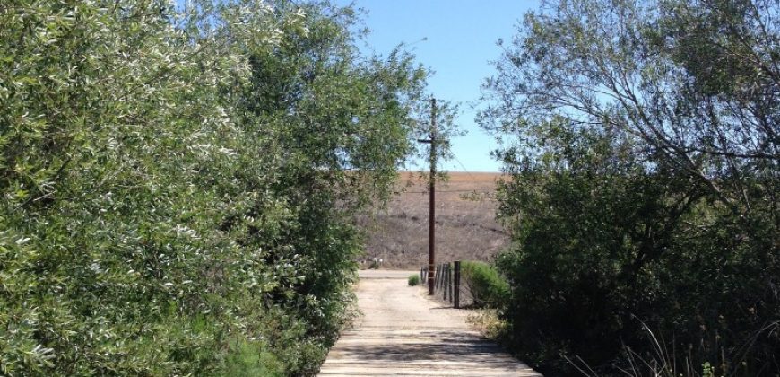Agricultural land with two properties to grow