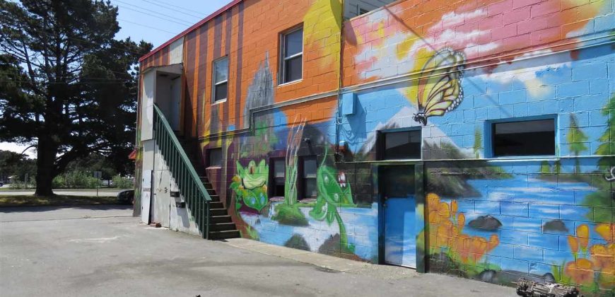 Cannabis Retail Above Humboldt In California