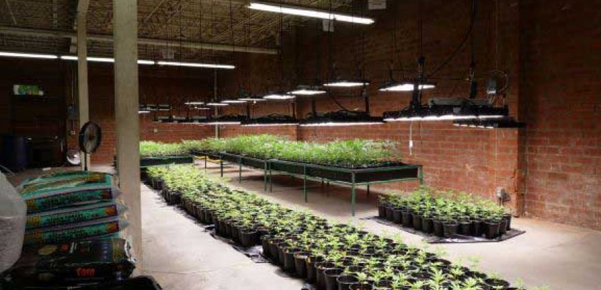 Los Angeles – Prime Location | Available Cannabis Space – 45,000 Sq. Ft. Builing active Cultivation, Manufacturing & Distribution License