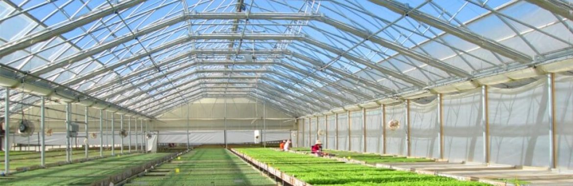 Finding the ‘Green Zone Property’: How Specialty Real Estate Agents Are Cashing in on Cannabis, Hemp & CBD Real Estate