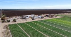 Land For Sale in Arvin, California