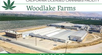 Woodlake Cannabis Farms For Sale in California