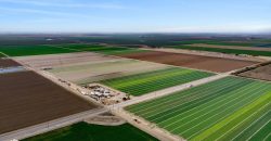 Land For Sale in Arvin, California