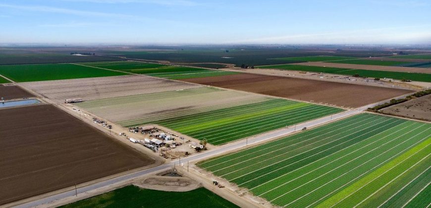 Land For Sale in Arvin, California