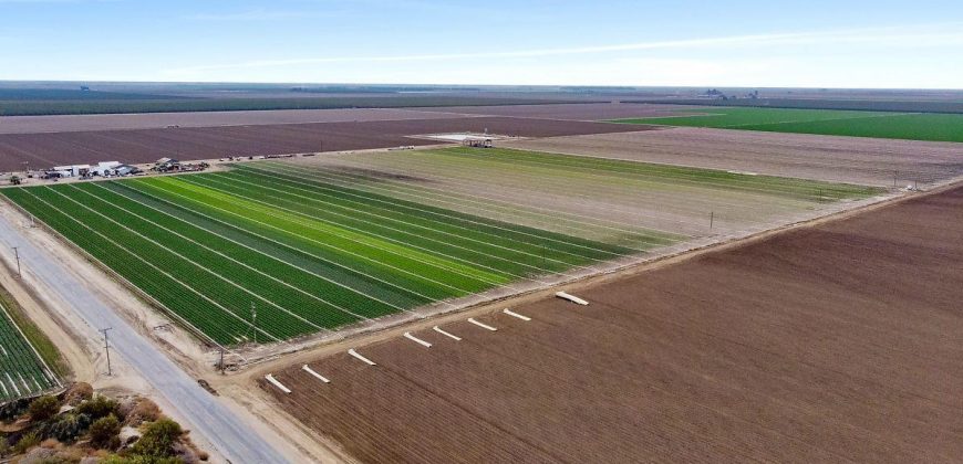 Land For Sale in Arvin, California