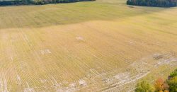 Clearview Farmland for Sale in Ontario Canada