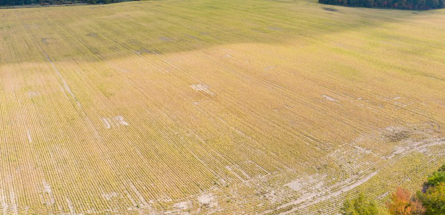 Clearview Farmland for Sale in Ontario Canada