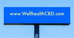 Turnkey CBD E-Commerce Website For Sale (WellHealthCBD.com)