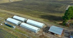Southern Oregon Cannabis Grow Opportunity