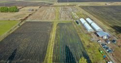 Southern Oregon Cannabis Grow Opportunity