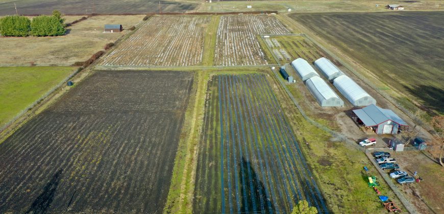 Southern Oregon Cannabis Grow Opportunity
