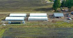 Southern Oregon Cannabis Grow Opportunity