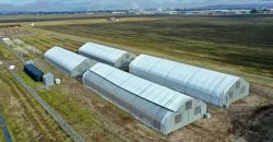 Southern Oregon Cannabis Grow Opportunity