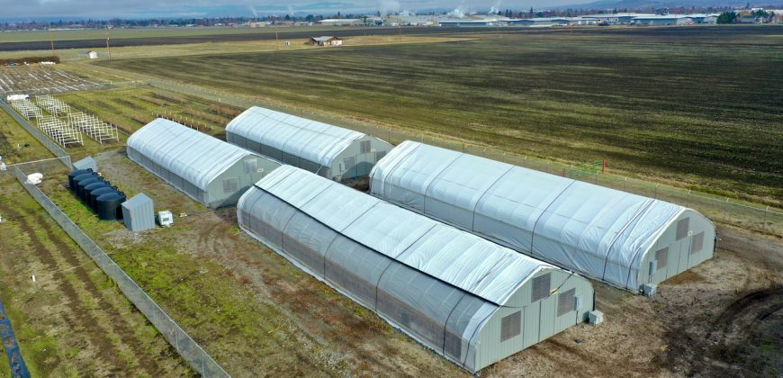 Southern Oregon Cannabis Grow Opportunity