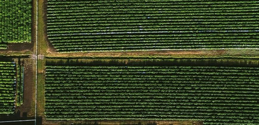 Southern Oregon Cannabis Grow Opportunity