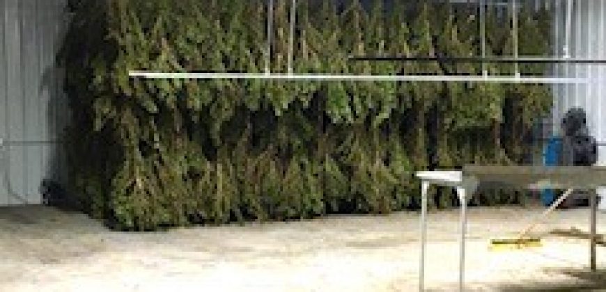 Turn-key Farm For Sale in North Florida!