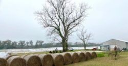 Turn-key Farm For Sale in North Florida!
