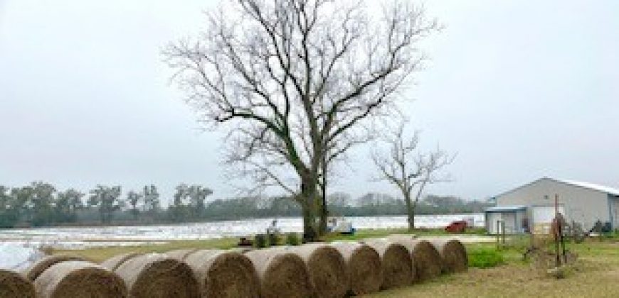 Turn-key Farm For Sale in North Florida!