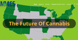 Medical Marijuana Consultation Services.com 4 years old ready for new law firm/broker