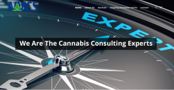 Medical Marijuana Consultation Services.com 4 years old ready for new law firm/broker