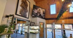 Cannabis Dispensary (Distressed Circumstances Force Sale)