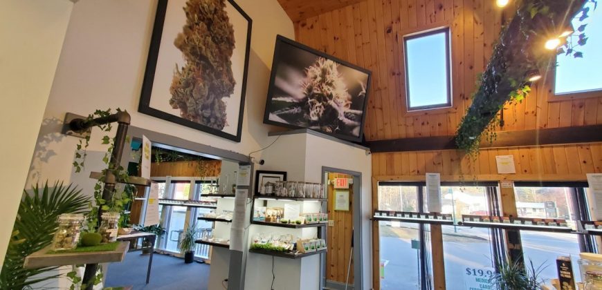 Cannabis Dispensary (Distressed Circumstances Force Sale)