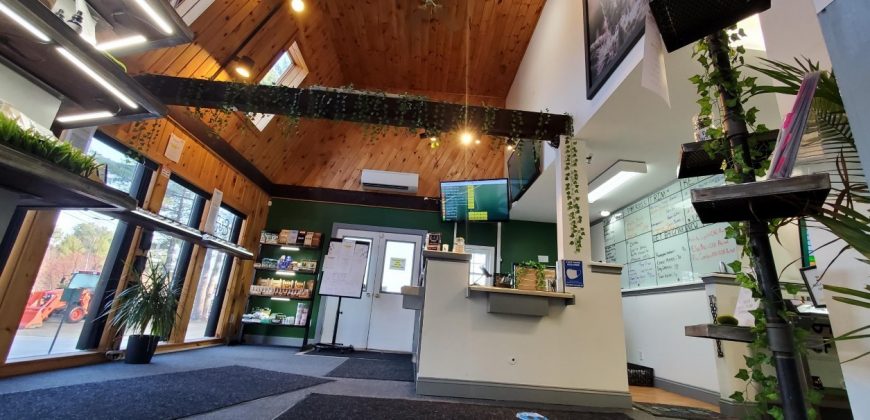 Cannabis Dispensary (Distressed Circumstances Force Sale)