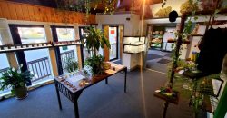 Cannabis Dispensary (Distressed Circumstances Force Sale)