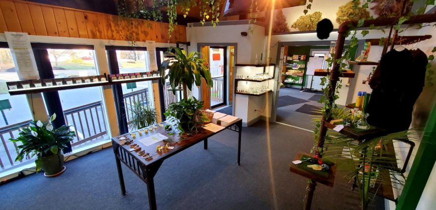 Cannabis Dispensary (Distressed Circumstances Force Sale)