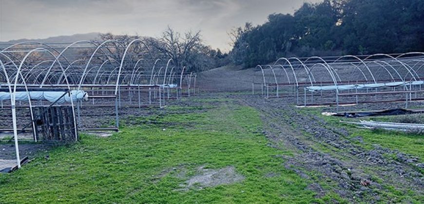 200 Acre Adelaida Ranch with Nearly 11 Acres of Approved Cannabis Grow