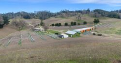 200 Acre Adelaida Ranch with Nearly 11 Acres of Approved Cannabis Grow