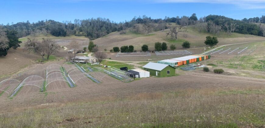 200 Acre Adelaida Ranch with Nearly 11 Acres of Approved Cannabis Grow
