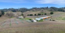 200 Acre Adelaida Ranch with Nearly 11 Acres of Approved Cannabis Grow