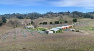 200 Acre Adelaida Ranch with Nearly 11 Acres of Approved Cannabis Grow