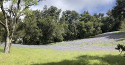 200 Acre Adelaida Ranch with Nearly 11 Acres of Approved Cannabis Grow