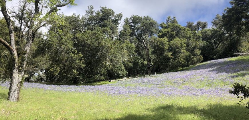 200 Acre Adelaida Ranch with Nearly 11 Acres of Approved Cannabis Grow