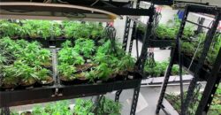 Commercial Medical Marijuana Grow Site