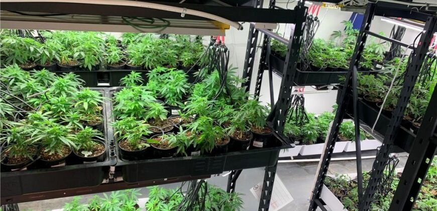 Commercial Medical Marijuana Grow Site