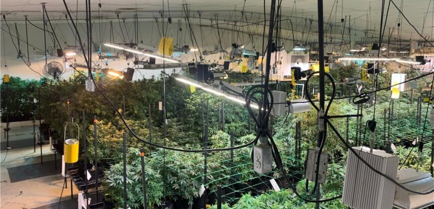 Commercial Medical Marijuana Grow Site