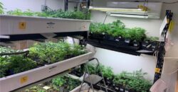 Commercial Medical Marijuana Grow Site
