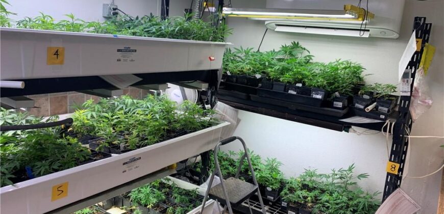 Commercial Medical Marijuana Grow Site