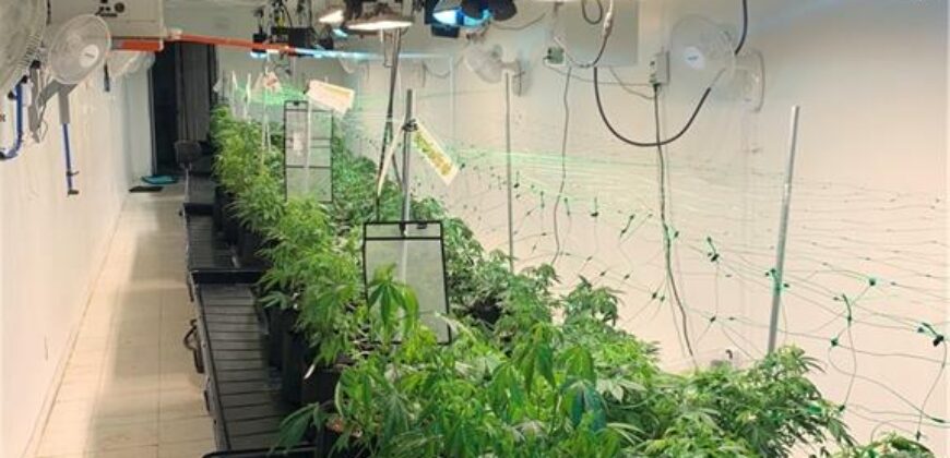 Commercial Medical Marijuana Grow Site