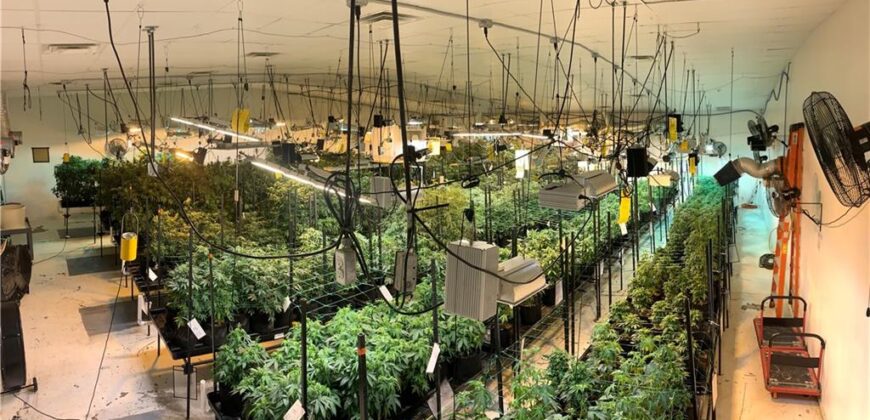 Commercial Medical Marijuana Grow Site