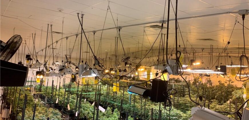 Commercial Medical Marijuana Grow Site