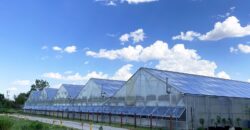 Hemp & Cannabis Greenhouse & Grow Facility For Sale in Nebraska