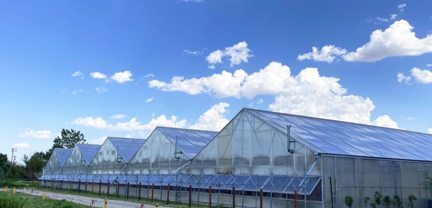 Hemp & Cannabis Greenhouse & Grow Facility For Sale in Nebraska