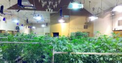 Hemp & Cannabis Greenhouse & Grow Facility For Sale in Nebraska