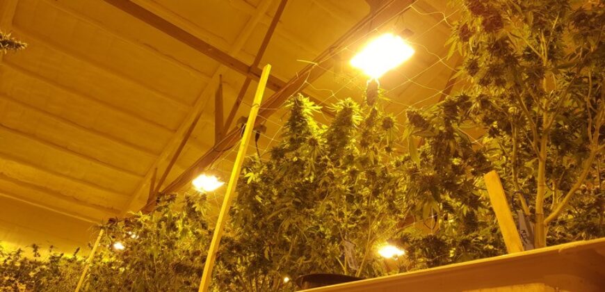 Two Retail Cultivation Licenses with Unlimited Sales & Production For Sale in Colorado