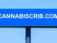 Catchy & Easy to Remember Domain Name cannabiscrib.com For Sale